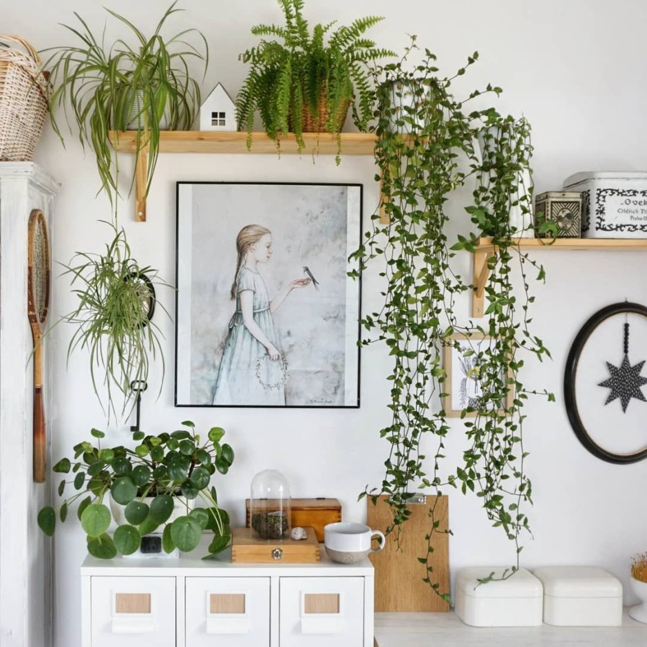 Phytodesign зимний сад