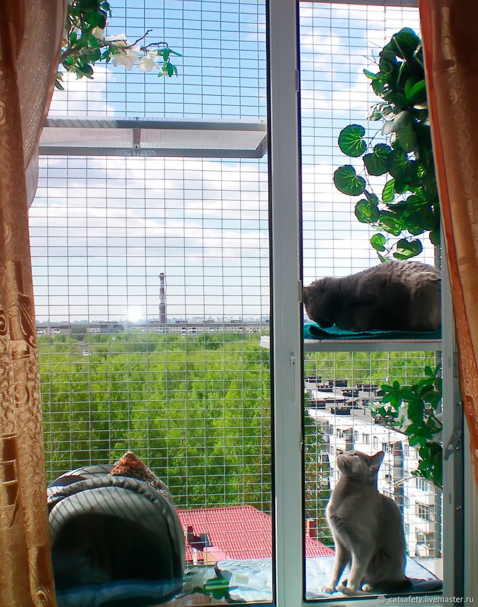 Клетка антикошка