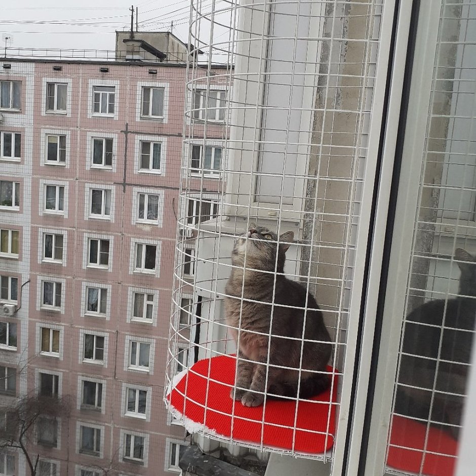Кошачий балкон антикошка