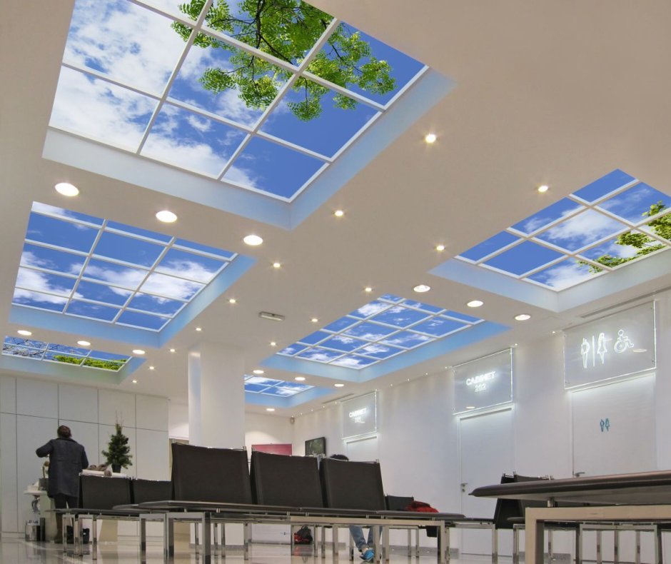 Roof Light