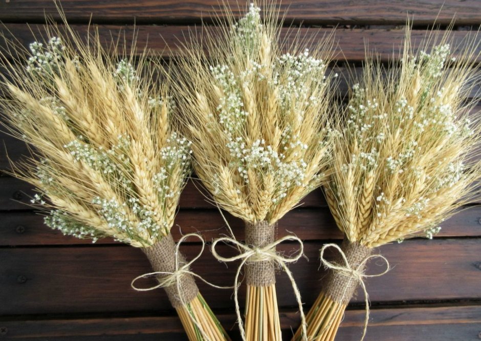 Букет из Колосков пшеницы