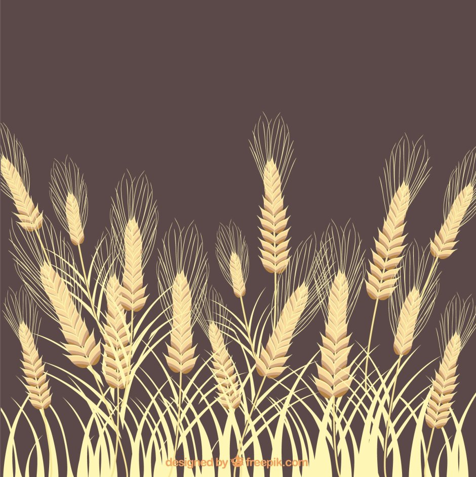 Стилизованные колосья пшеницы