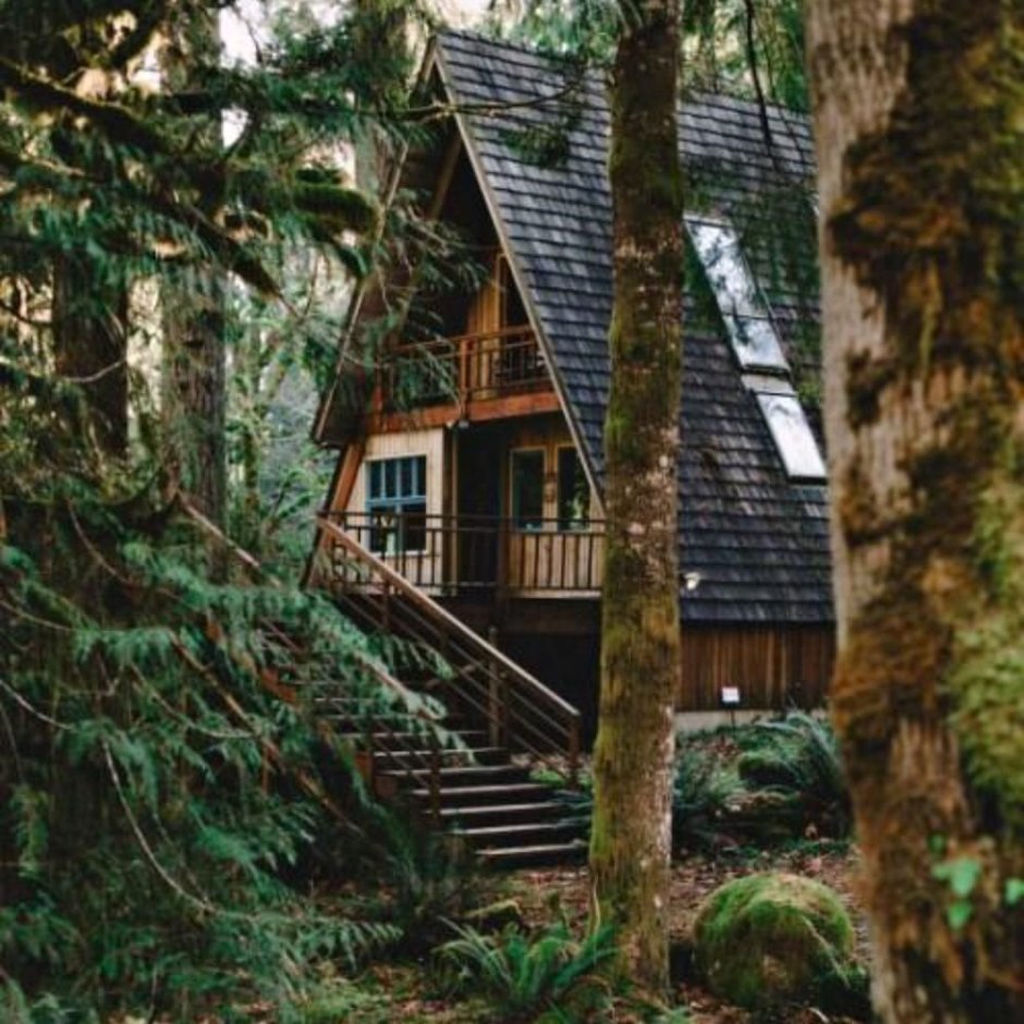 Уютные дома в лесу