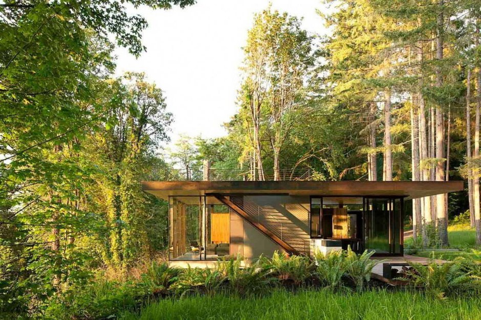 Современный домик в лесу