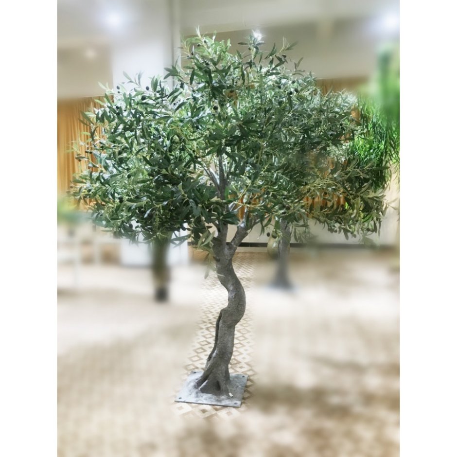 Искусственное дерево олива