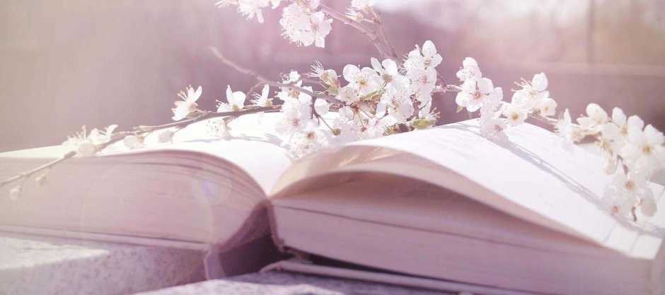 Книга панорама цветы