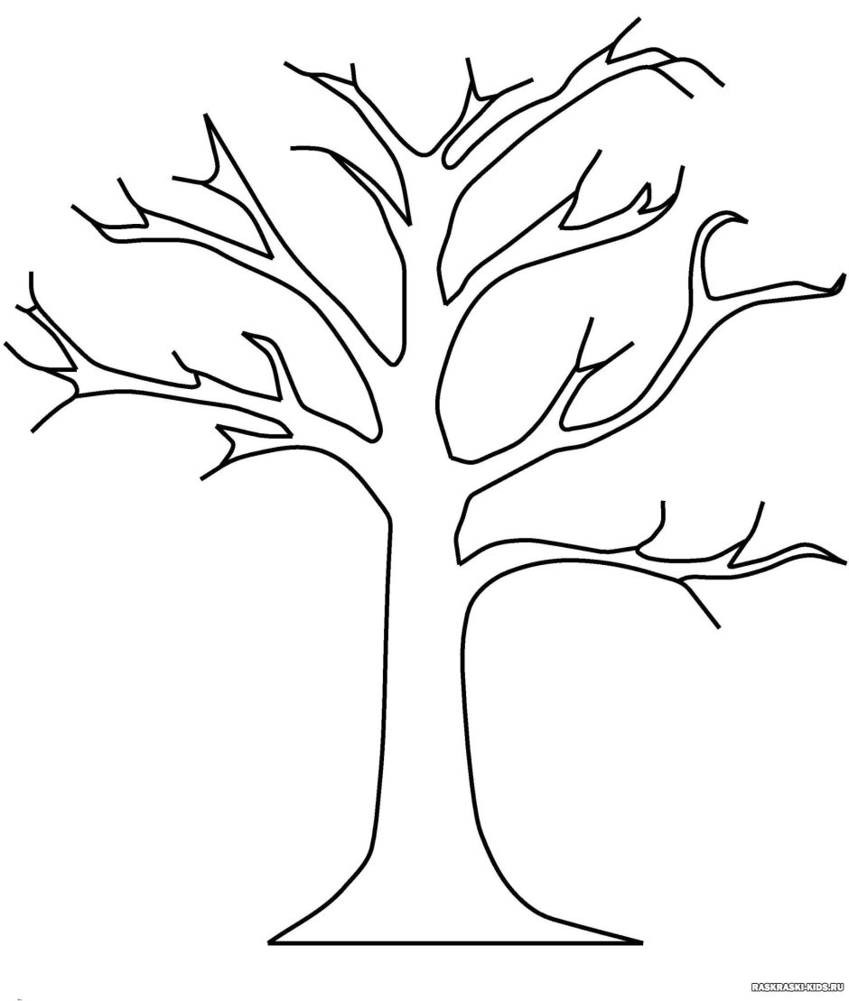 Родословное дерево вектор