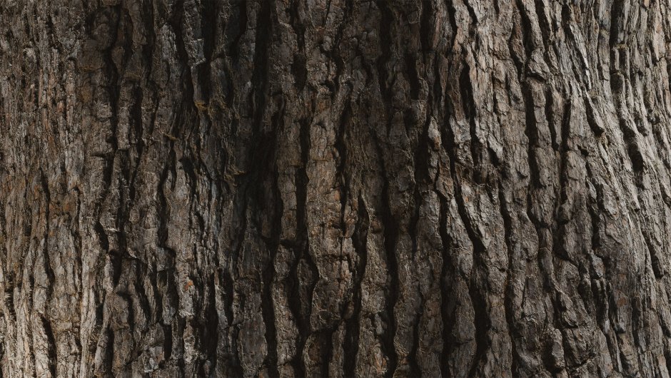 Pine Bark PBR