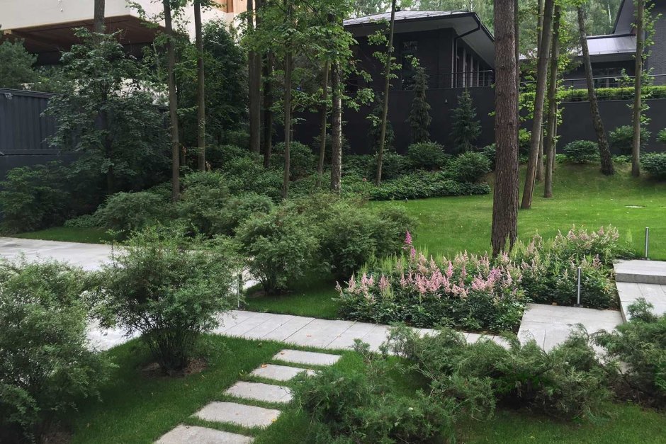 Arcadia Garden Ландшафтная студия