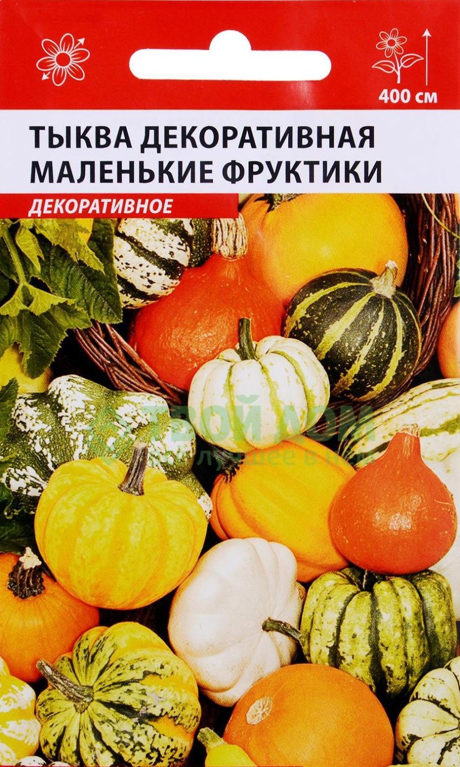 Тыква декоративная звезды Шахерезады