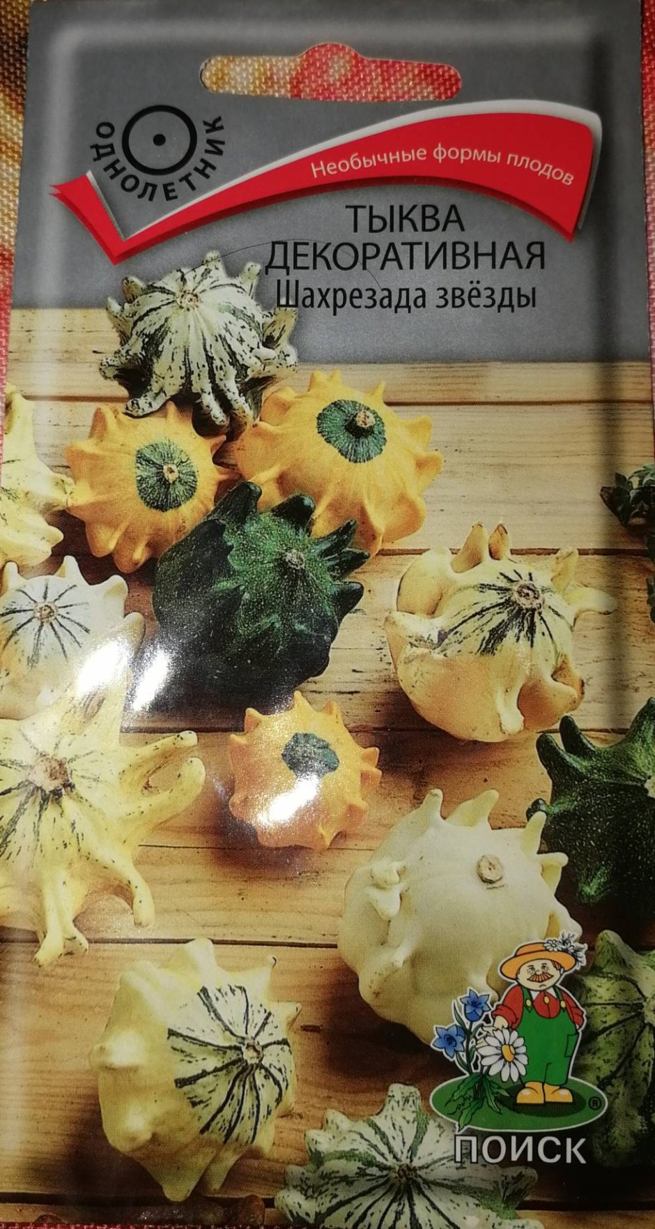 Тыква декоративная Шахрезада звезды