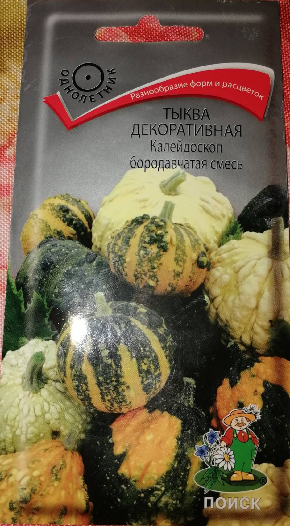 Тыква декоративная Терновый венец