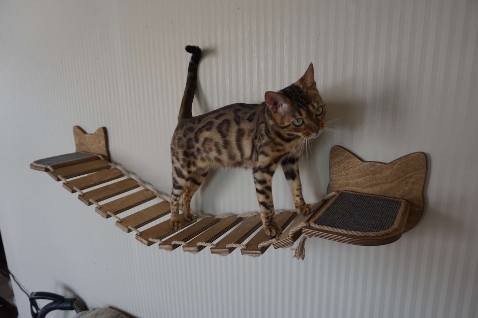 Мостик настенный для кошек
