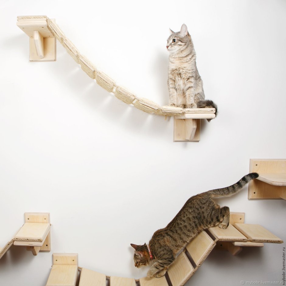 Лестница для котов