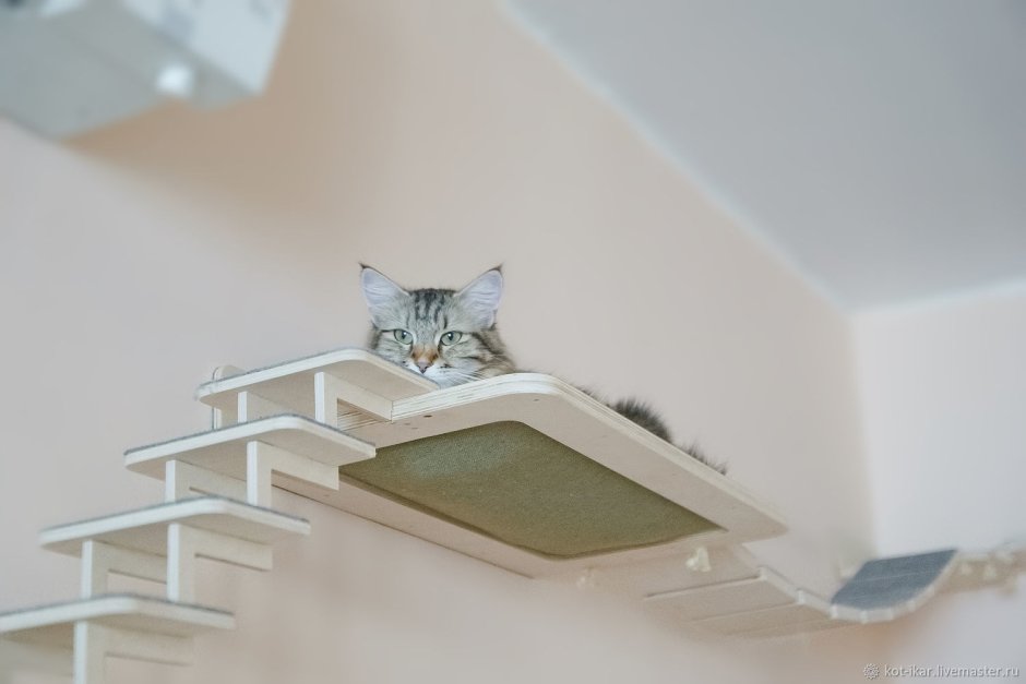 Гамак для кошки на стену