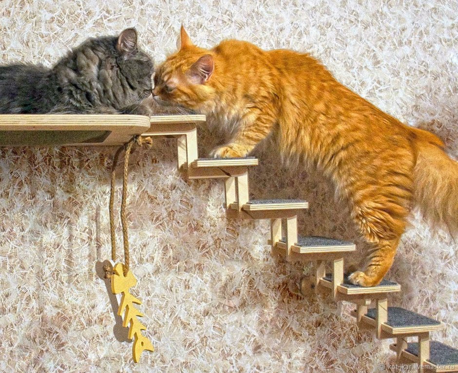 Настенная лестница для кошек