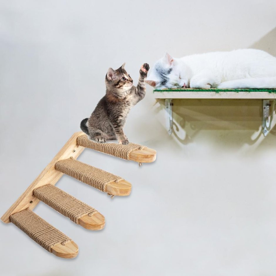 Настенная лестница для кошек