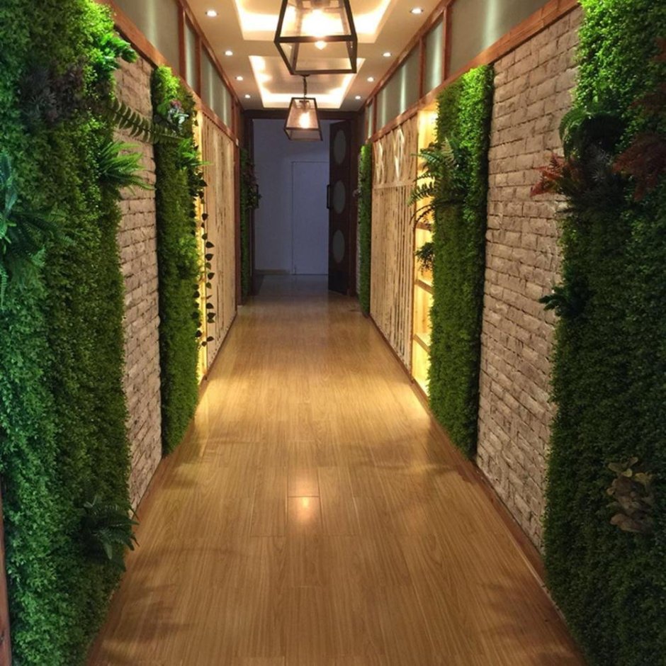 Озеленение коридора