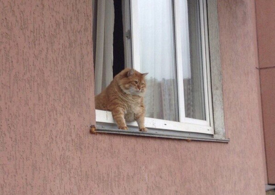 Горизонтальные окна