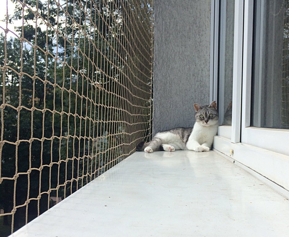 Клетка антикошка для кошек на окно