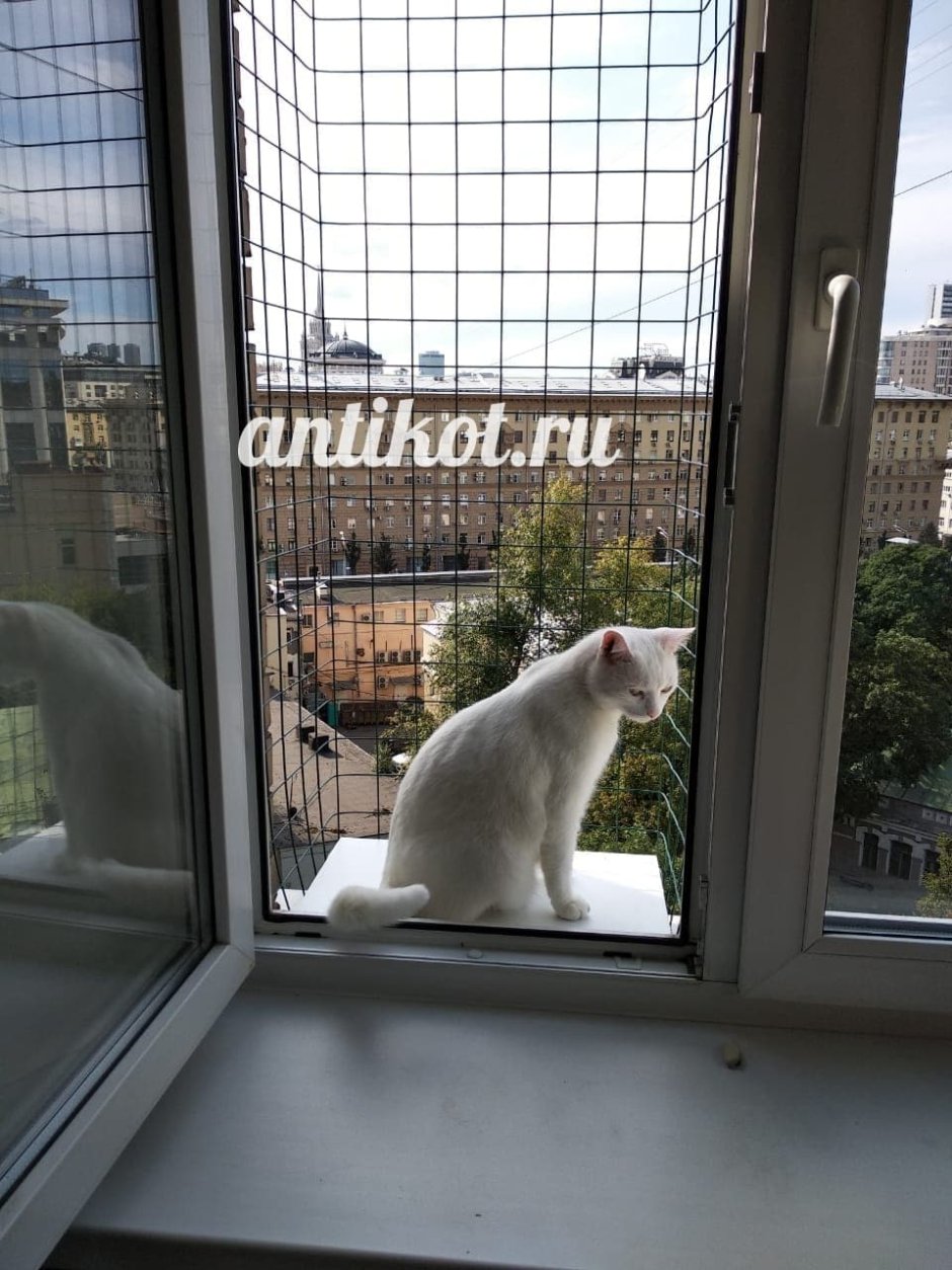 Сетка антикошка с выгулом