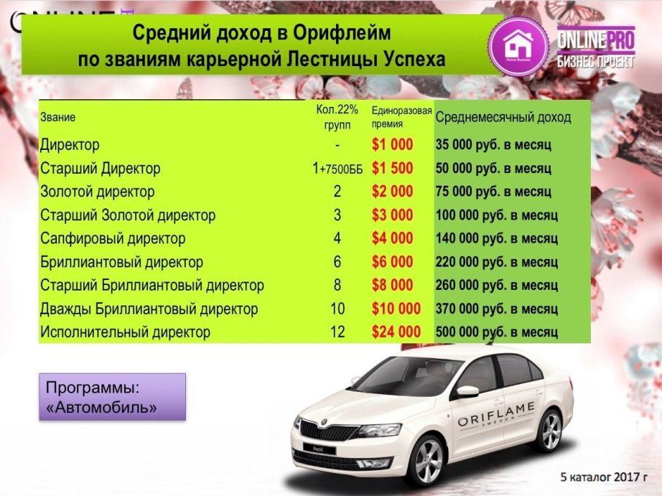 Уровни в Орифлэйм