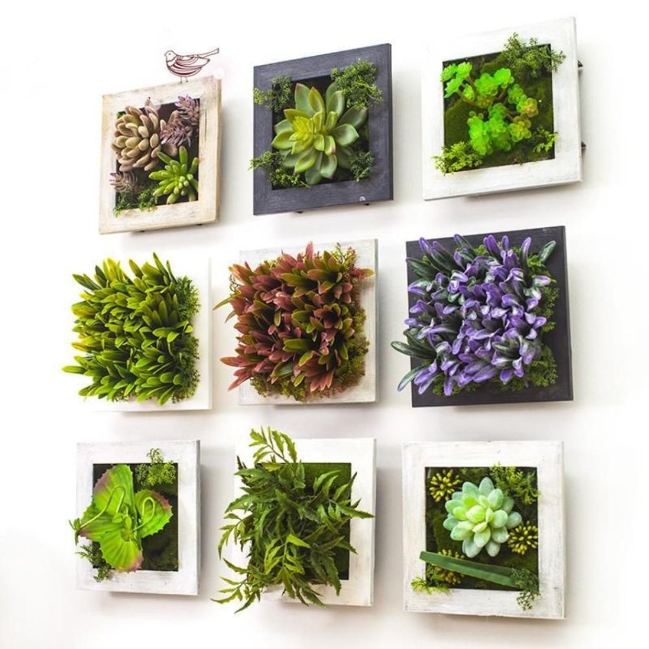 Панно из искусственных растений на стену