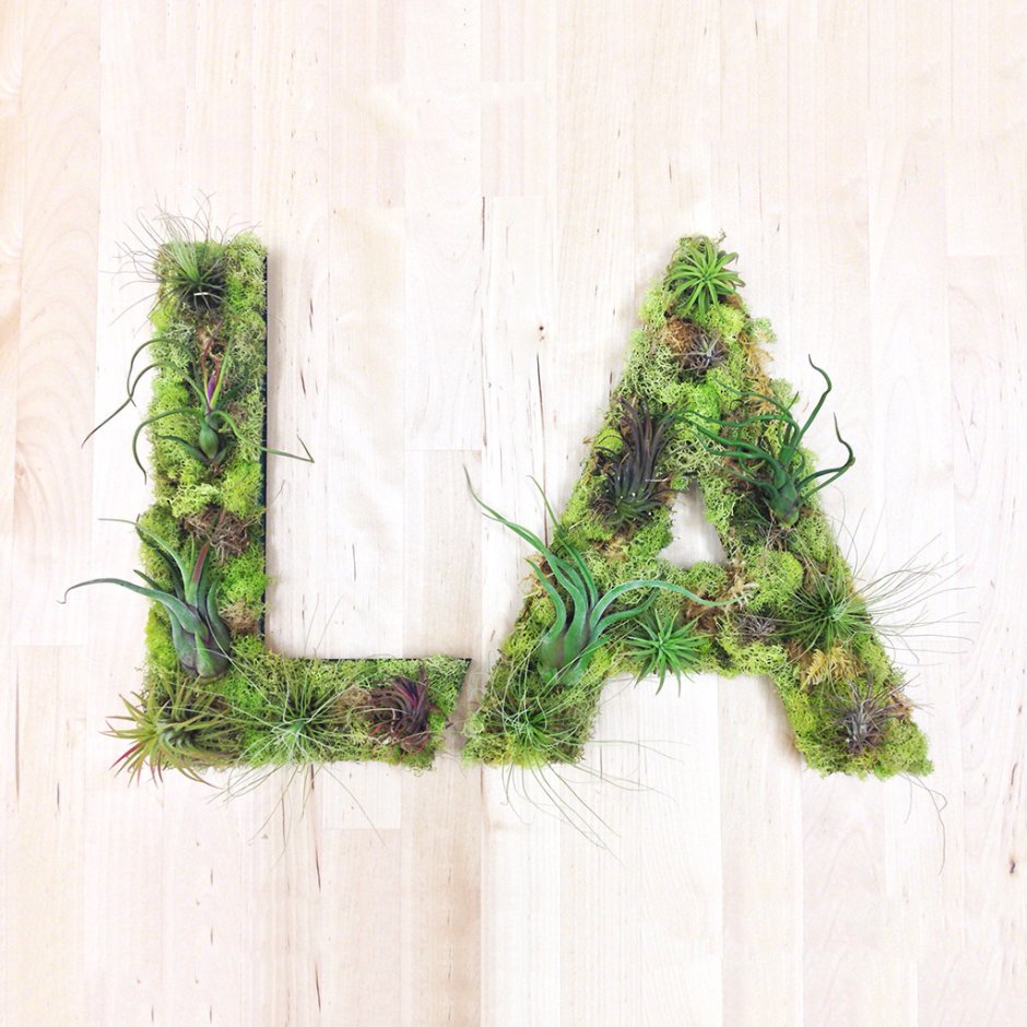 Буквы из растений