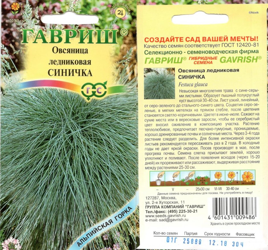 Овсяницы ледниковой Гавриш