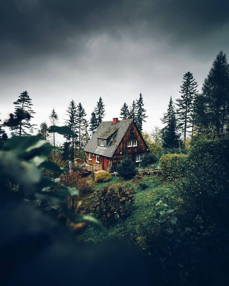Дом среди леса