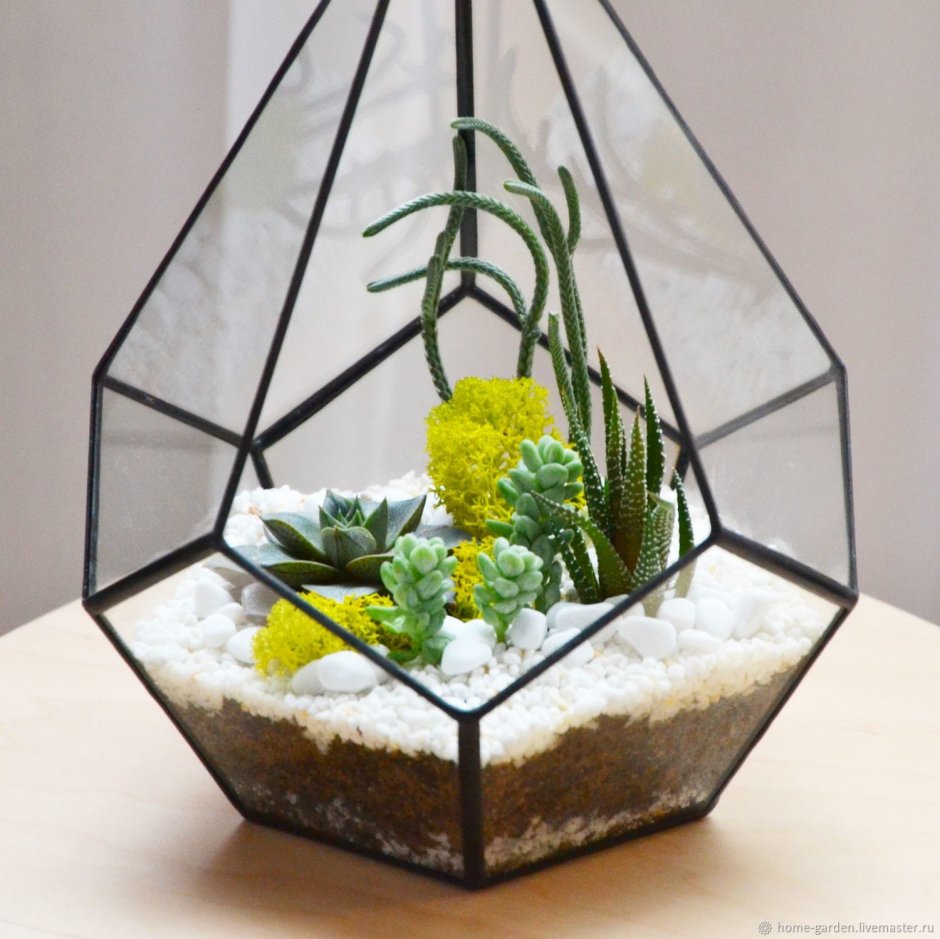 Flos Crystal флорариум