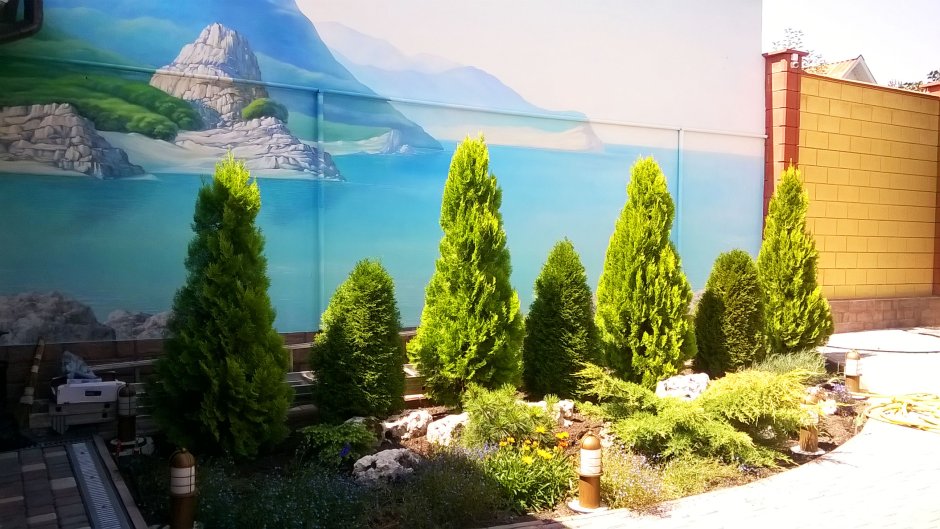 Ландшафт участка в Крыму