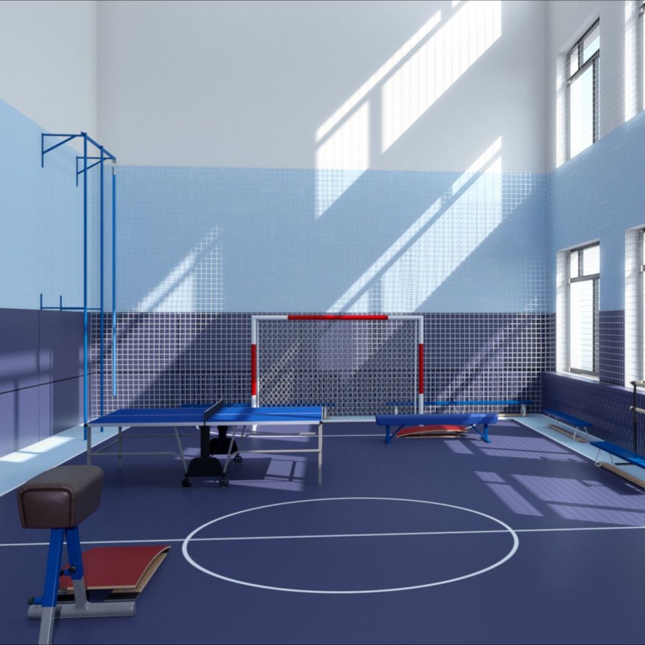Школа 86 физкультурный зал