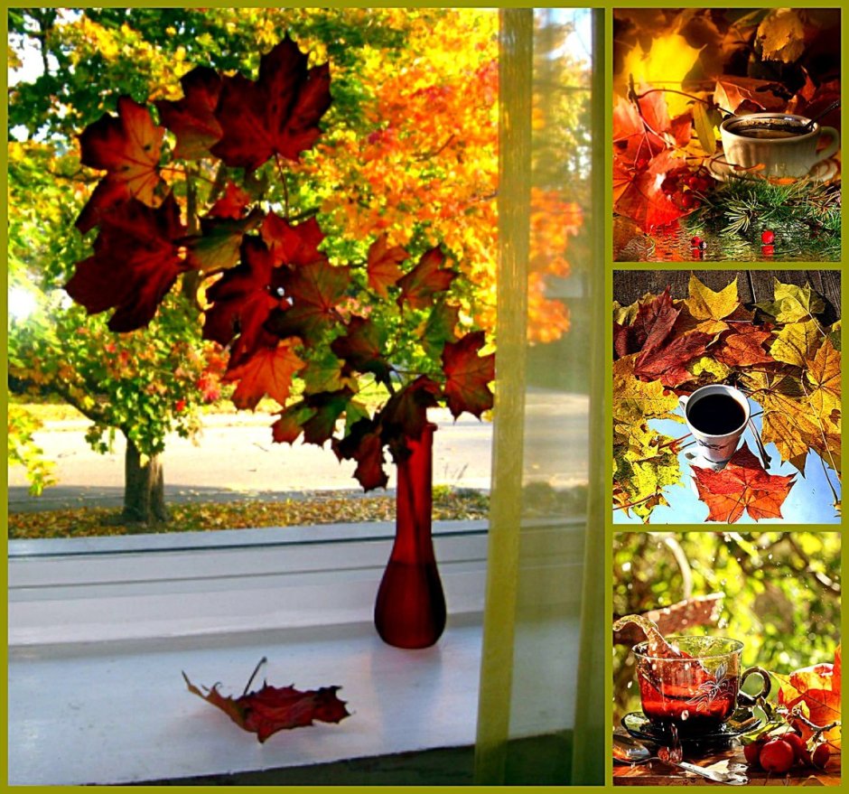 Осень окно