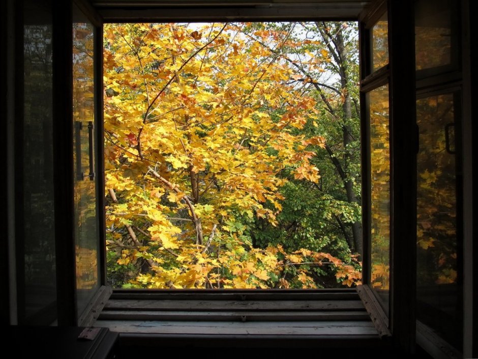 Окно осень
