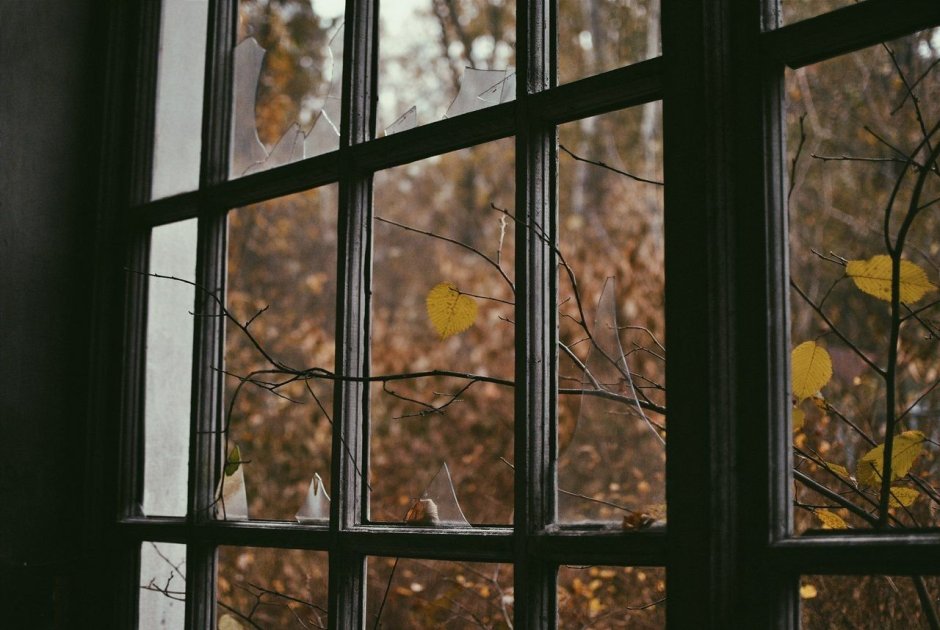 Вид из окна поздняя осень