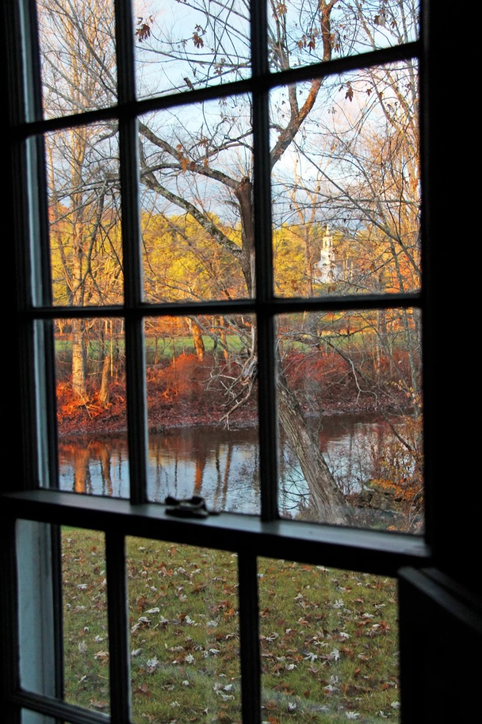 Окно с видом на осень