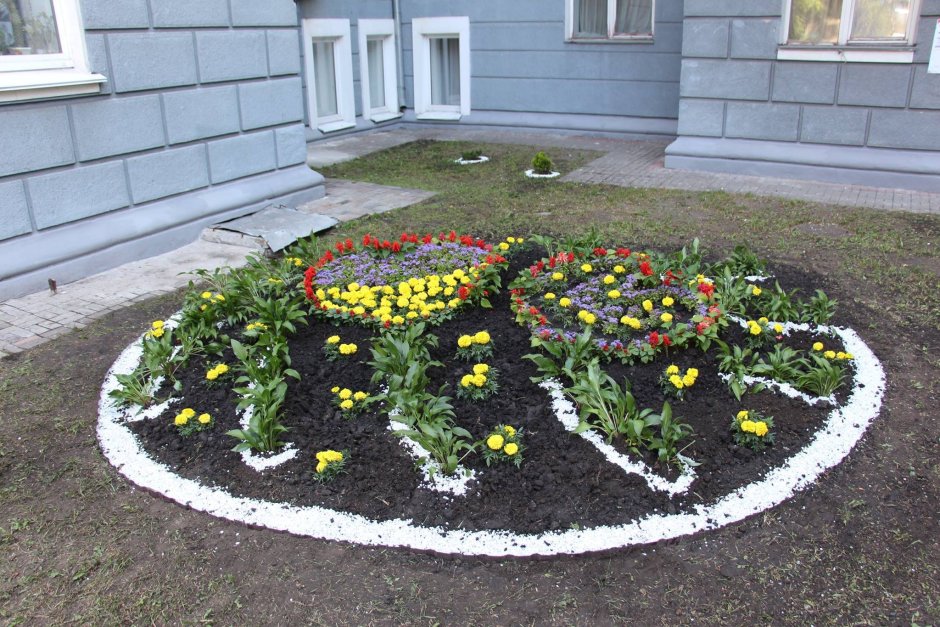 Клумбы на территории детского сада