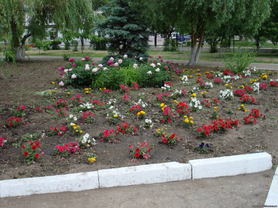 Самый благоустроенный двор конкурс
