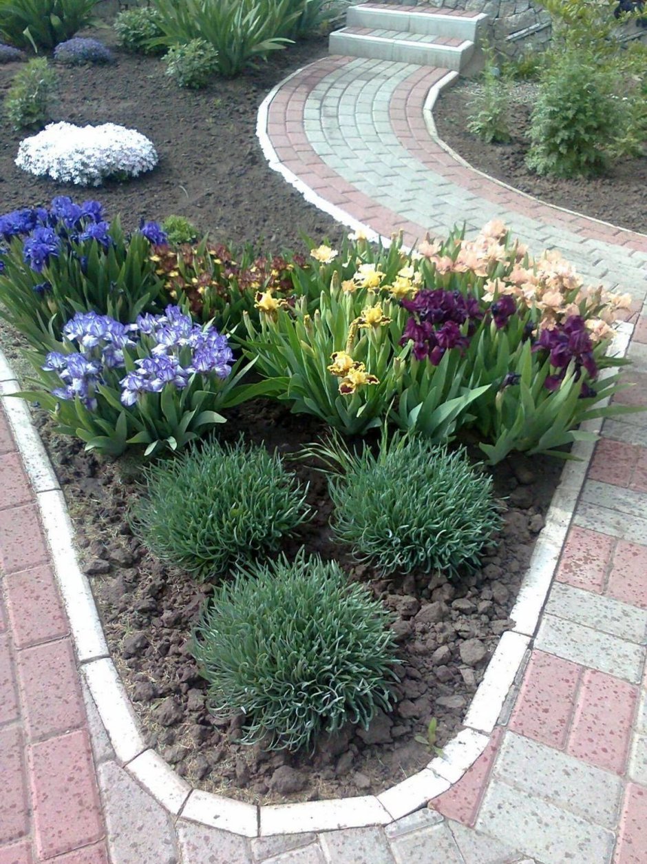 Клумбы, рокарии, рабатки