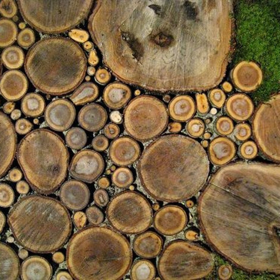 Срез дерева для декора