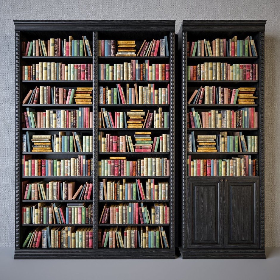 Книжный шкаф с книгами