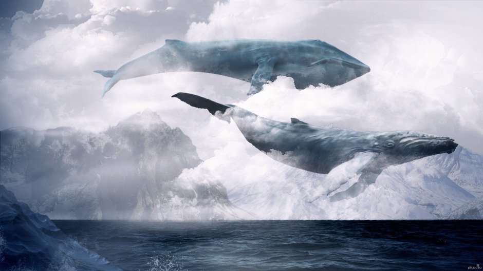Левиафан Небесный кит