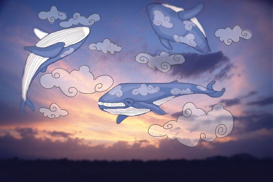 Облачный кит