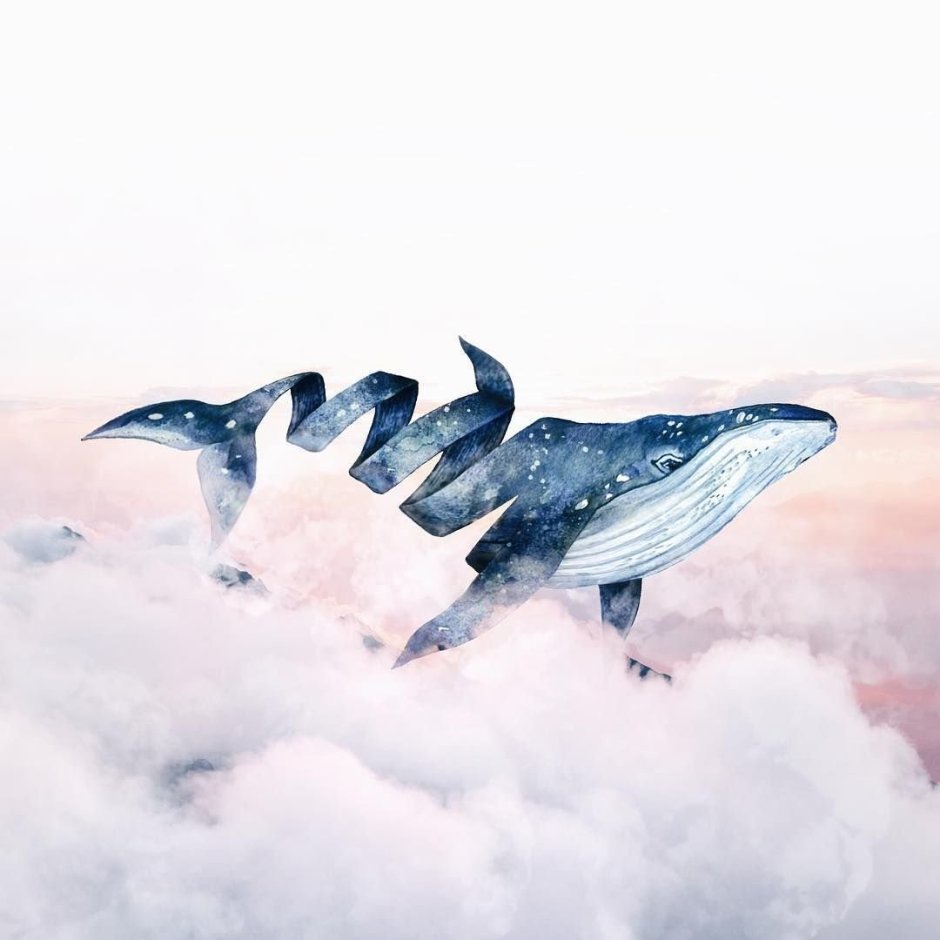 Летающий кит