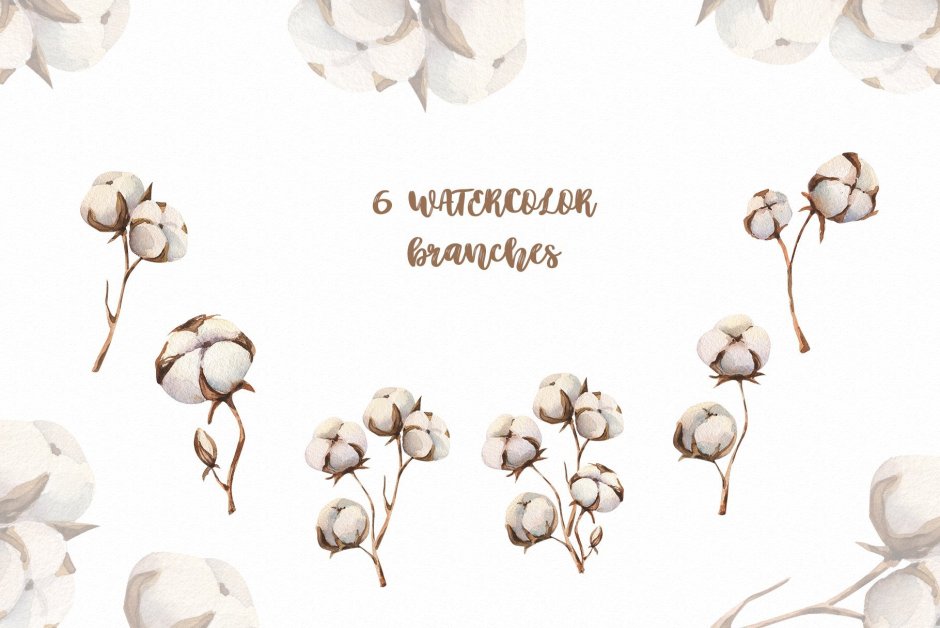 Хлопок иллюстрация