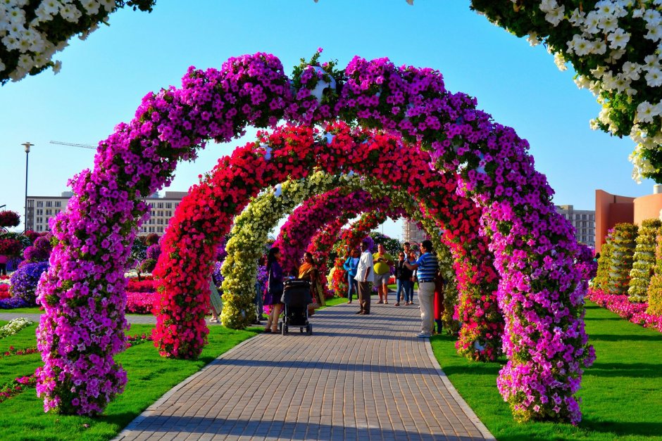 Аллея из камня