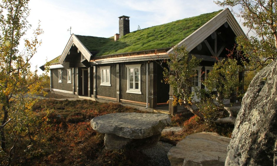 Норвежские дома цоколь