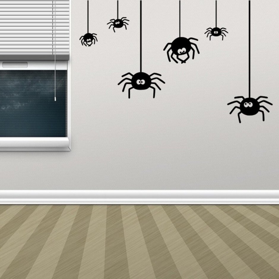 Прыгучие пауки в квартире