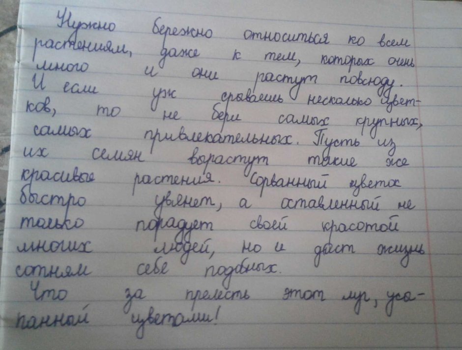 Dimensions 8564 сапожок